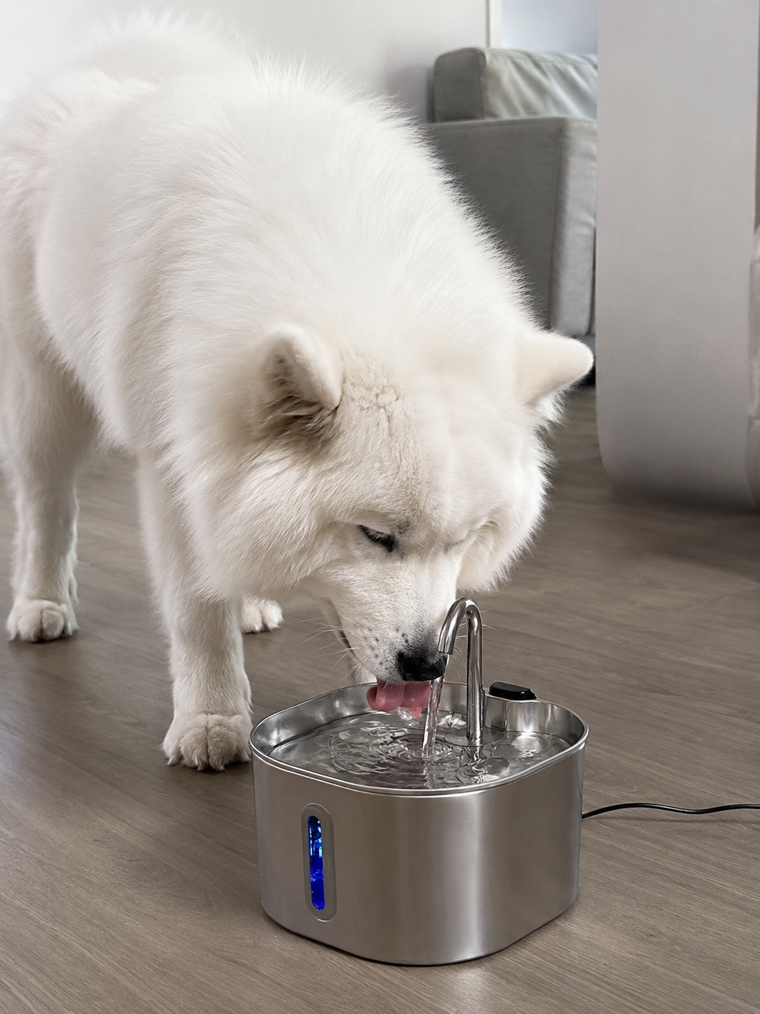 AquaFlow™ Round | Fontaine à Eau Ronde pour Chats et Chiens