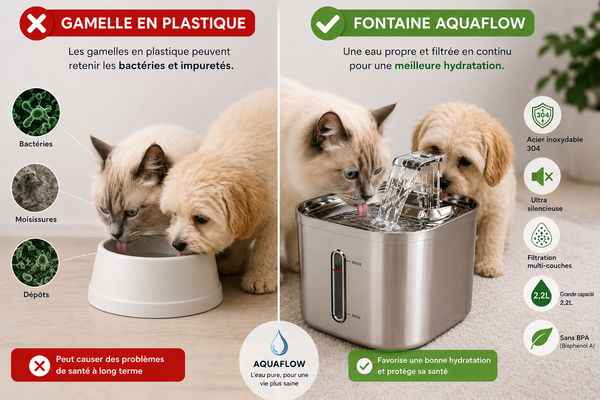 AquaFlow™ | Fontaine à eau en inox pour chats et chiens