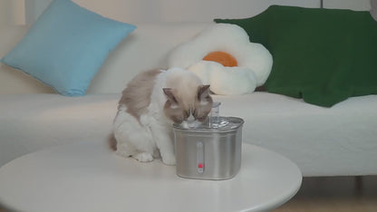AquaFlow™ | Fontaine à eau en inox pour chats et chiens